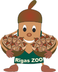 ziluks